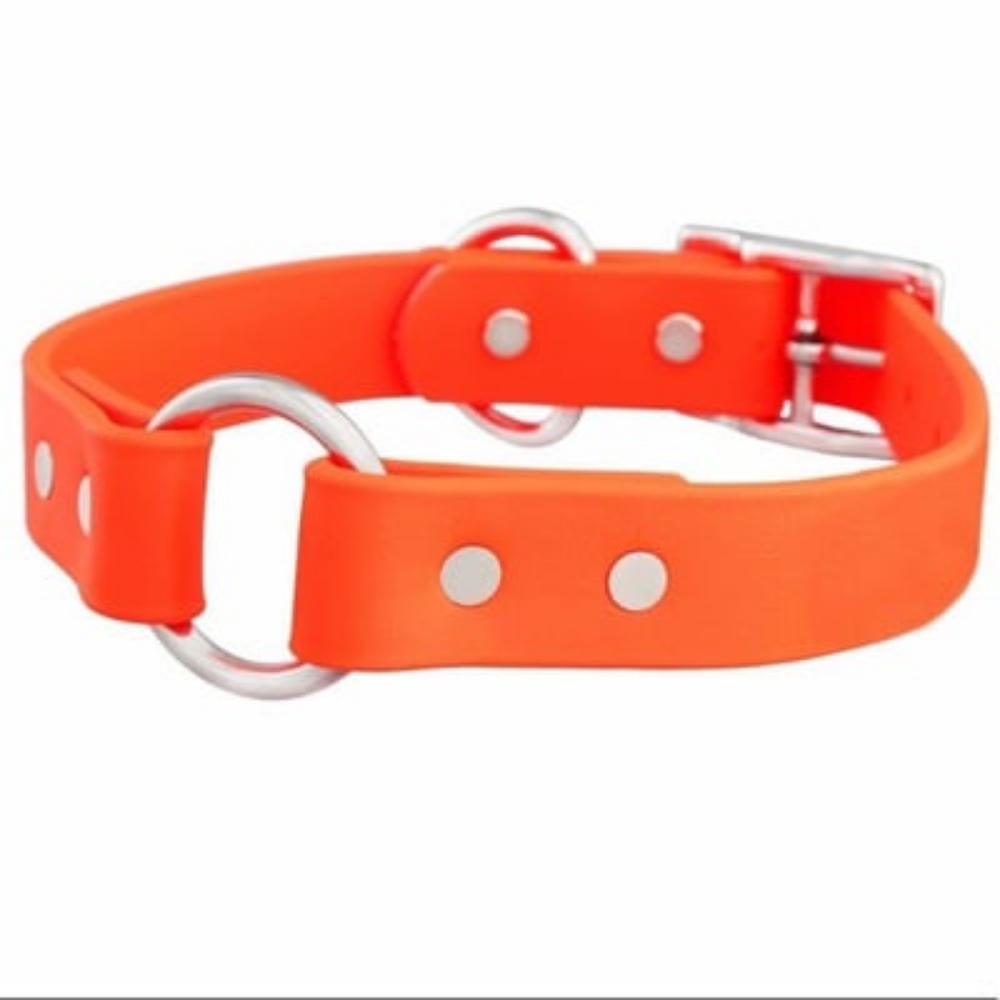 Waterproof Dog Collar